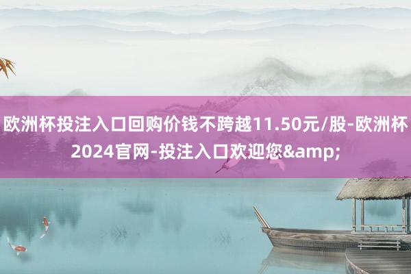 欧洲杯投注入口回购价钱不跨越11.50元/股-欧洲杯2024官网-投注入口欢迎您&