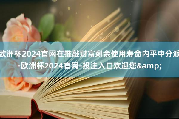 欧洲杯2024官网在推敲财富剩余使用寿命内平中分派-欧洲杯2024官网-投注入口欢迎您&