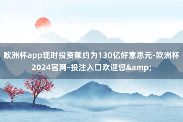 欧洲杯app现时投资额约为130亿好意思元-欧洲杯2024官网-投注入口欢迎您&