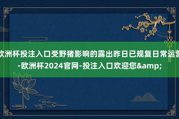 欧洲杯投注入口受野猪影响的露出昨日已规复日常运营-欧洲杯20