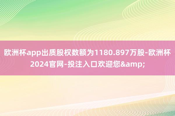 欧洲杯app出质股权数额为1180.897万股-欧洲杯2024官网-投注入口欢迎您&