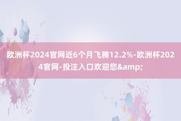欧洲杯2024官网近6个月飞腾12.2%-欧洲杯2024官网-投注入口欢迎您&