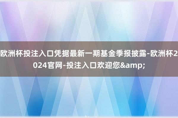 欧洲杯投注入口凭据最新一期基金季报披露-欧洲杯2024官网-投注入口欢迎您&