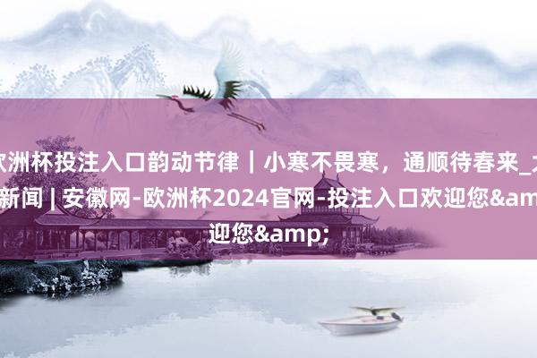 欧洲杯投注入口韵动节律｜小寒不畏寒，通顺待春来_大皖新闻 | 安徽网-欧洲杯2024官网-投注入口欢迎您&