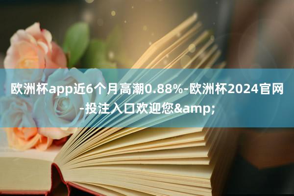 欧洲杯app近6个月高潮0.88%-欧洲杯2024官网-投注入口欢迎您&