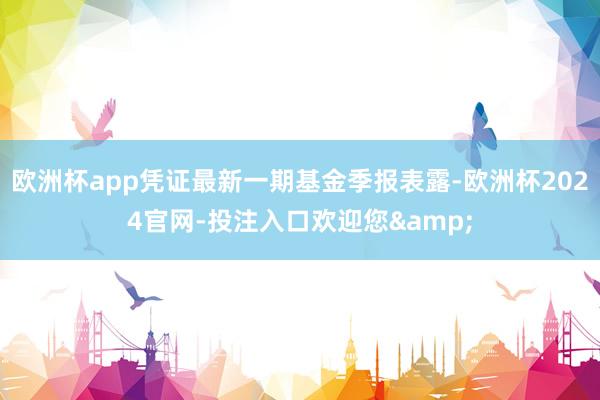欧洲杯app凭证最新一期基金季报表露-欧洲杯2024官网-投注入口欢迎您&