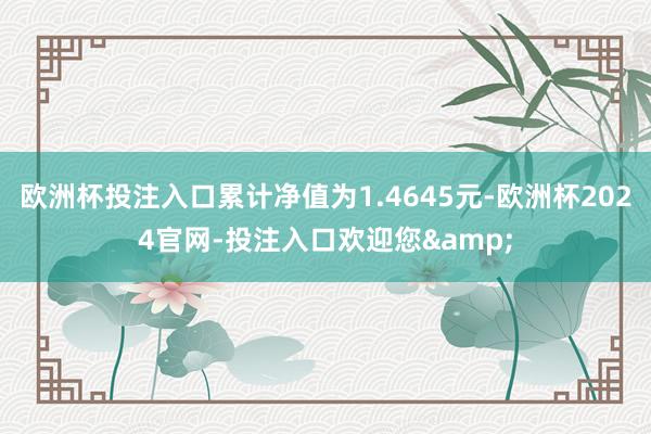 欧洲杯投注入口累计净值为1.4645元-欧洲杯2024官网-投注入口欢迎您&