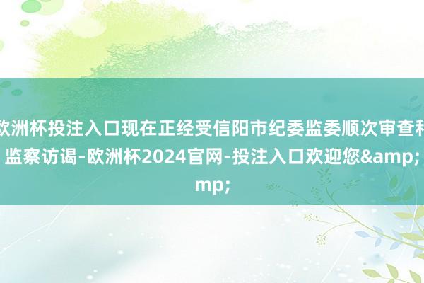 欧洲杯投注入口现在正经受信阳市纪委监委顺次审查和监察访谒-欧洲杯2024官网-投注入口欢迎您&