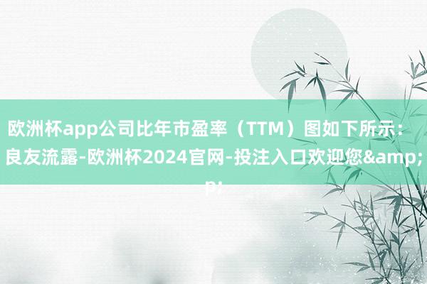 欧洲杯app公司比年市盈率（TTM）图如下所示： 　　良友流露-欧洲杯2024官网-投注入口欢迎您&