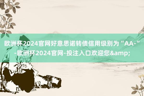 欧洲杯2024官网好意思诺转债信用级别为“AA-”-欧洲杯2024官网-投注入口欢迎您&