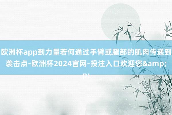 欧洲杯app到力量若何通过手臂或腿部的肌肉传递到袭击点-欧洲杯2024官网-投注入口欢迎您&