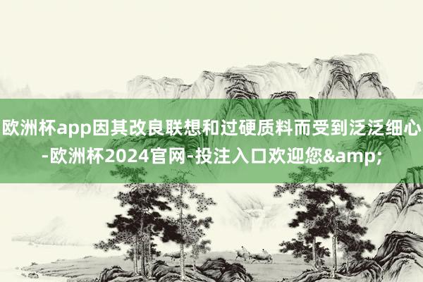 欧洲杯app因其改良联想和过硬质料而受到泛泛细心-欧洲杯2024官网-投注入口欢迎您&