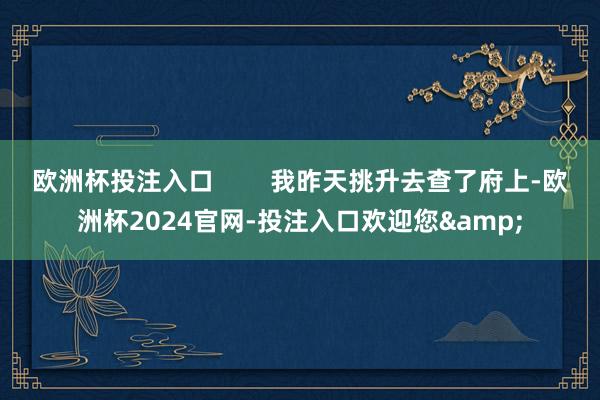 欧洲杯投注入口        我昨天挑升去查了府上-欧洲杯2024官网-投注入口欢迎您&