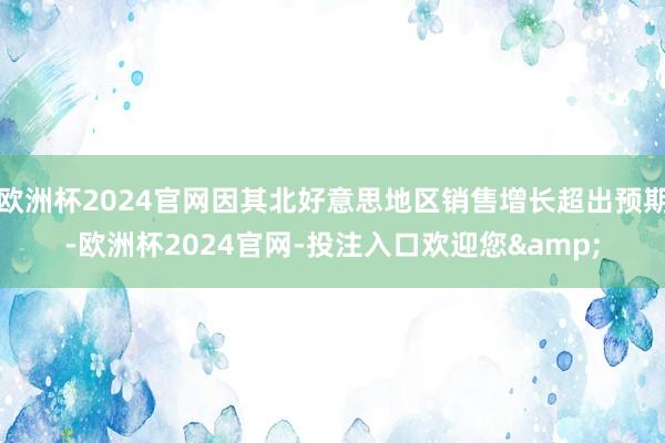 欧洲杯2024官网因其北好意思地区销售增长超出预期-欧洲杯2024官网-投注入口欢迎您&