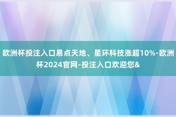 欧洲杯投注入口易点天地、星环科技涨超10%-欧洲杯2024官网-投注入口欢迎您&