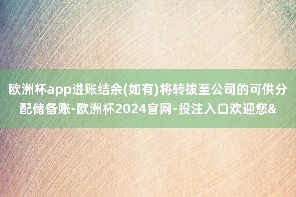 欧洲杯app进账结余(如有)将转拨至公司的可供分配储备账-欧洲杯2024官网-投注入口欢迎您&