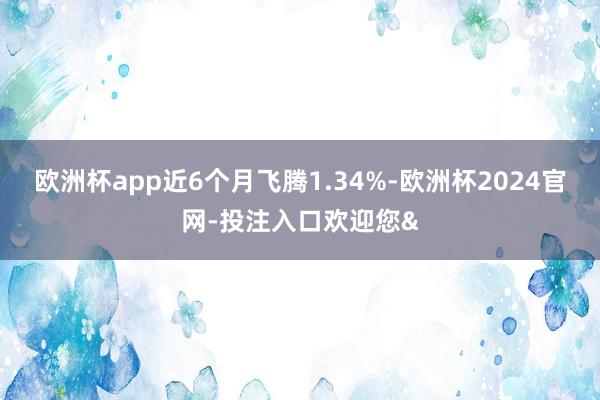 欧洲杯app近6个月飞腾1.34%-欧洲杯2024官网-投注入口欢迎您&