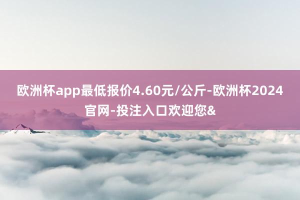 欧洲杯app最低报价4.60元/公斤-欧洲杯2024官网-投注入口欢迎您&
