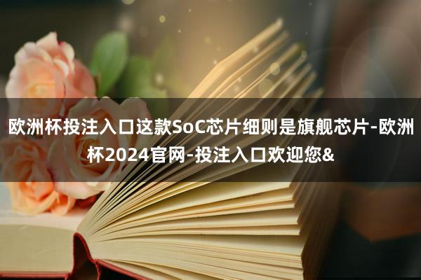 欧洲杯投注入口这款SoC芯片细则是旗舰芯片-欧洲杯2024官网-投注入口欢迎您&