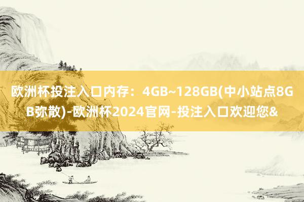 欧洲杯投注入口内存：4GB~128GB(中小站点8GB弥散)-欧洲杯2024官网-投注入口欢迎您&