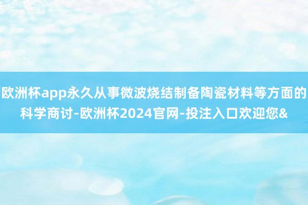 欧洲杯app永久从事微波烧结制备陶瓷材料等方面的科学商讨-欧洲杯2024官网-投注入口欢迎您&