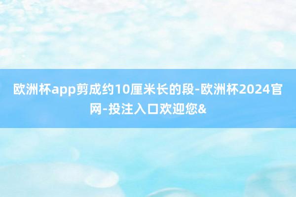 欧洲杯app剪成约10厘米长的段-欧洲杯2024官网-投注入口欢迎您&