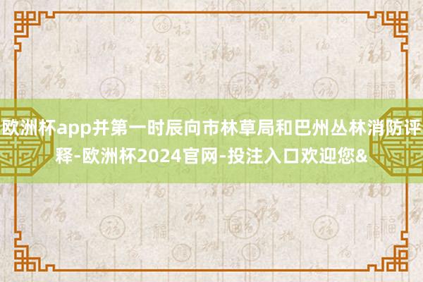 欧洲杯app并第一时辰向市林草局和巴州丛林消防评释-欧洲杯2024官网-投注入口欢迎您&