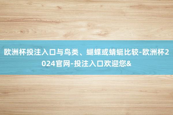 欧洲杯投注入口与鸟类、蝴蝶或蜻蜓比较-欧洲杯2024官网-投注入口欢迎您&