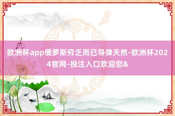欧洲杯app俄罗斯穷乏而已导弹天然-欧洲杯2024官网-投注入口欢迎您&