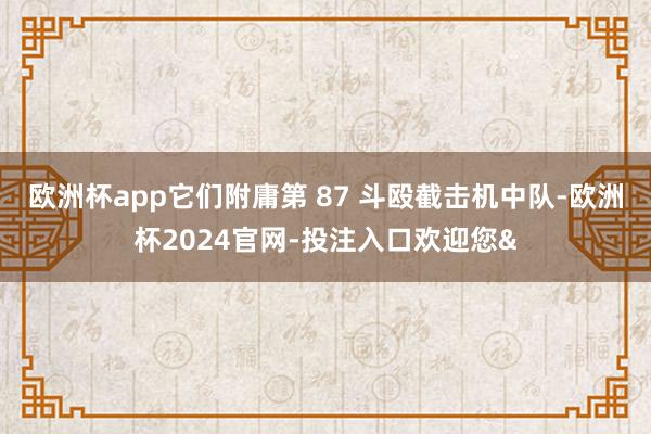 欧洲杯app它们附庸第 87 斗殴截击机中队-欧洲杯2024官网-投注入口欢迎您&