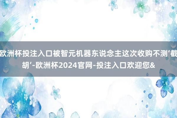 欧洲杯投注入口被智元机器东说念主这次收购不测‘截胡’-欧洲杯2024官网-投注入口欢迎您&