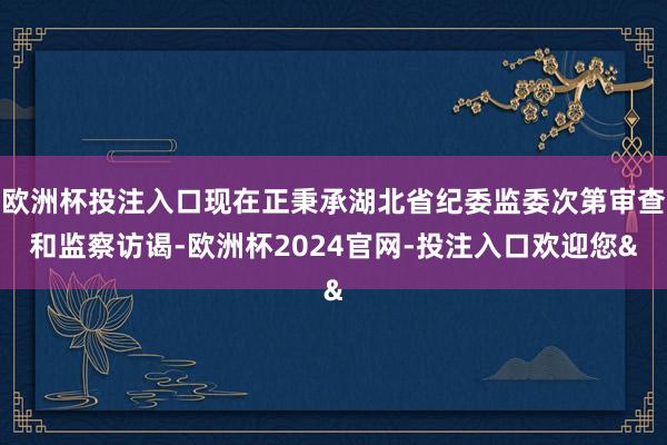 欧洲杯投注入口现在正秉承湖北省纪委监委次第审查和监察访谒-欧洲杯2024官网-投注入口欢迎您&