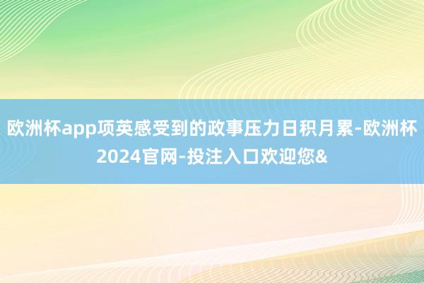 欧洲杯app项英感受到的政事压力日积月累-欧洲杯2024官网-投注入口欢迎您&
