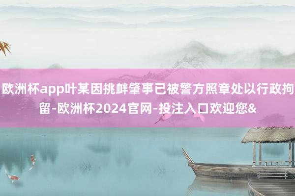 欧洲杯app叶某因挑衅肇事已被警方照章处以行政拘留-欧洲杯2024官网-投注入口欢迎您&